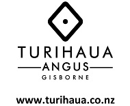 48 Website Gisborne - Turihaua Station 621147
