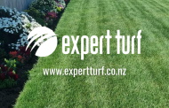 14 - Website - New Plymouth - Expert Turf Services 410637