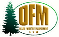 67 - Website - Rotorua - Olsen Forestry Management Ltd 415024