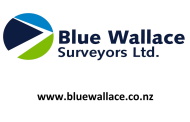 72 - Website - Hamilton - Blue Wallace Surveyors 209153