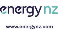 77 - Website - Birkenhead - Energy NZ Ltd 465707