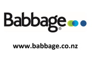 89 - Website - Hamilton - Babbage Consultants Ltd 278880